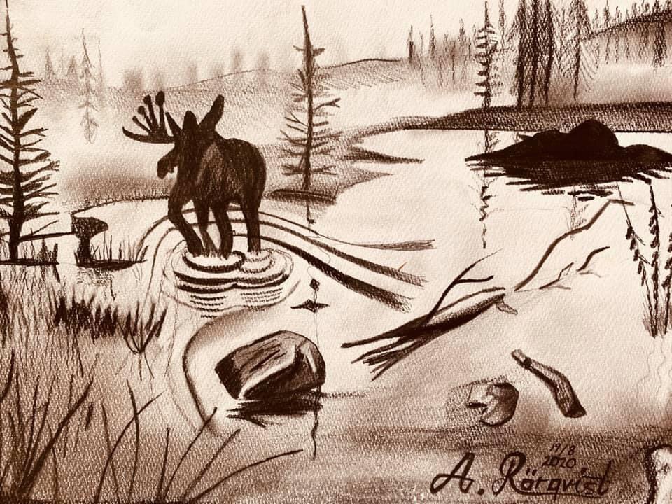Norrland Konstnär Andreas Rörqvist Teckning Skiss Rita Måla Blyerts Älgar Djur Landskap 