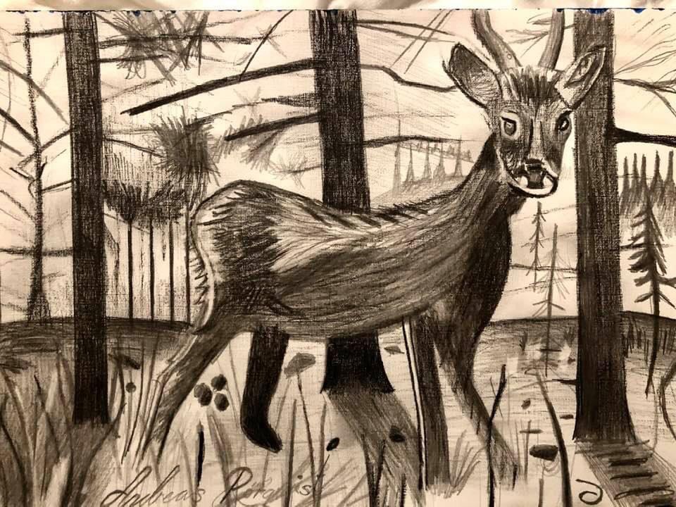 Porträtt Rådjur Konstnär Andreas Douglas Rörqvist Porträtter Måla Djur Konst
