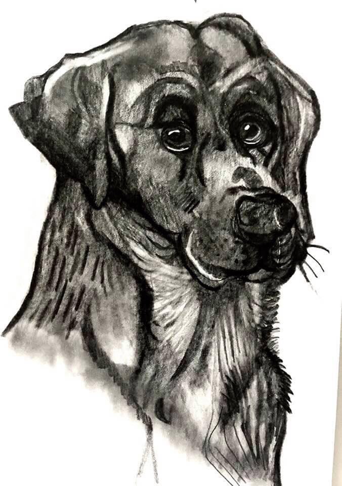 Hund ÅR2019 Konstnär Andreas Rörqvist Porträtter Porträtt Djur Hundar Rita Skiss Konst 